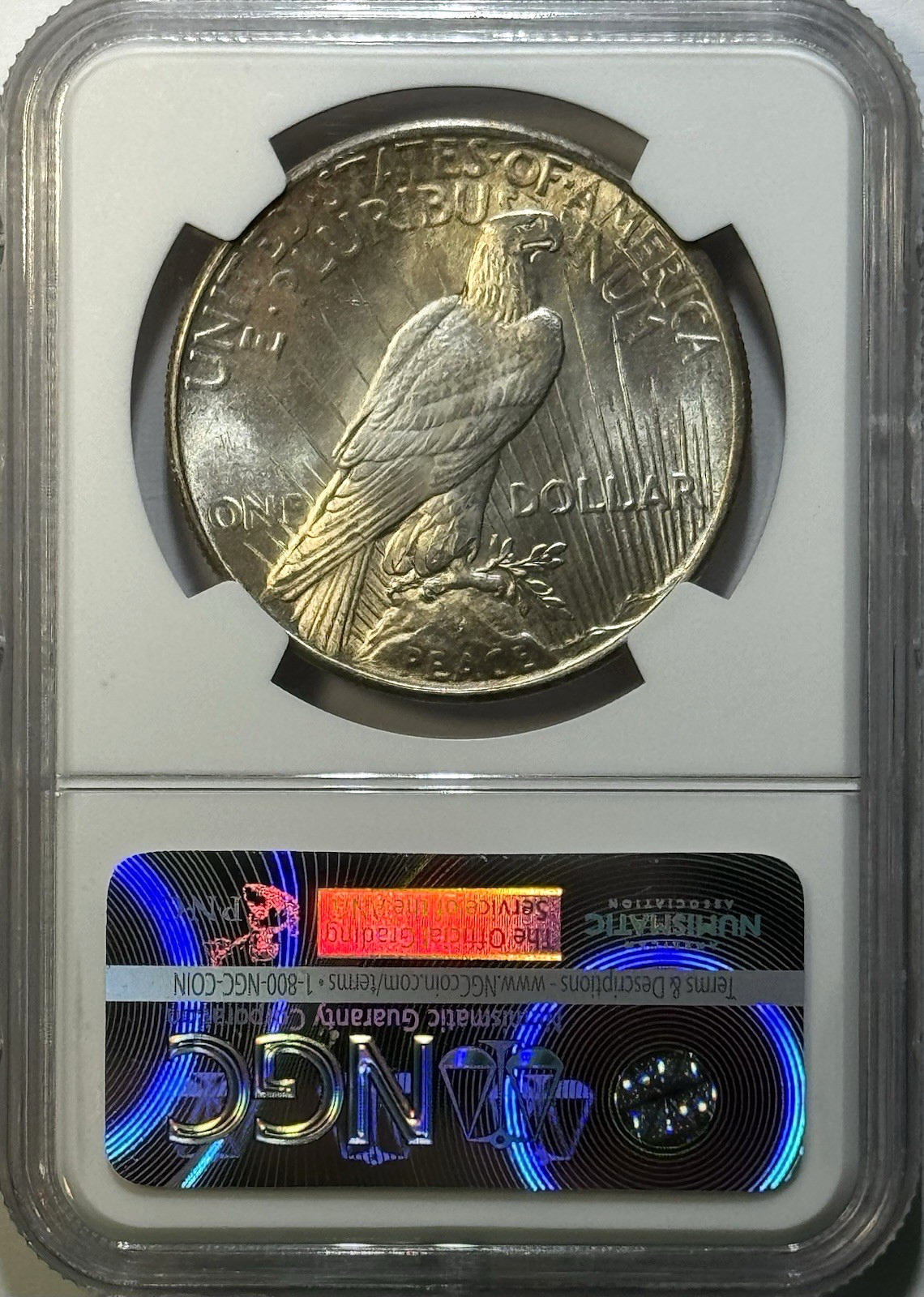 1925 Peace Dollar | NGC MS65 | Soft Golden Hue | Beautiful Eye Appeal