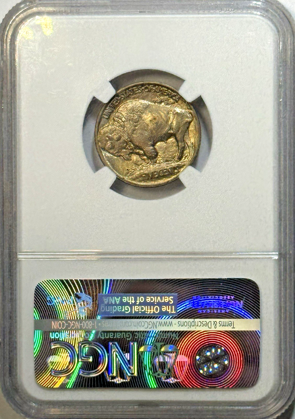 1913 Type 1 Buffalo Nickel — NGC MS64 — First-Year Toner w/ Attitude!