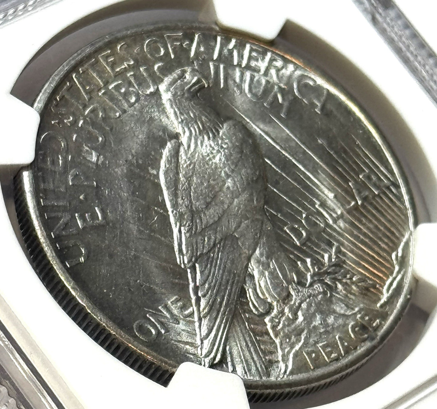 1921 High Relief Peace Dollar - NGC MS62 - Key Date - Original Better Eye Appeal