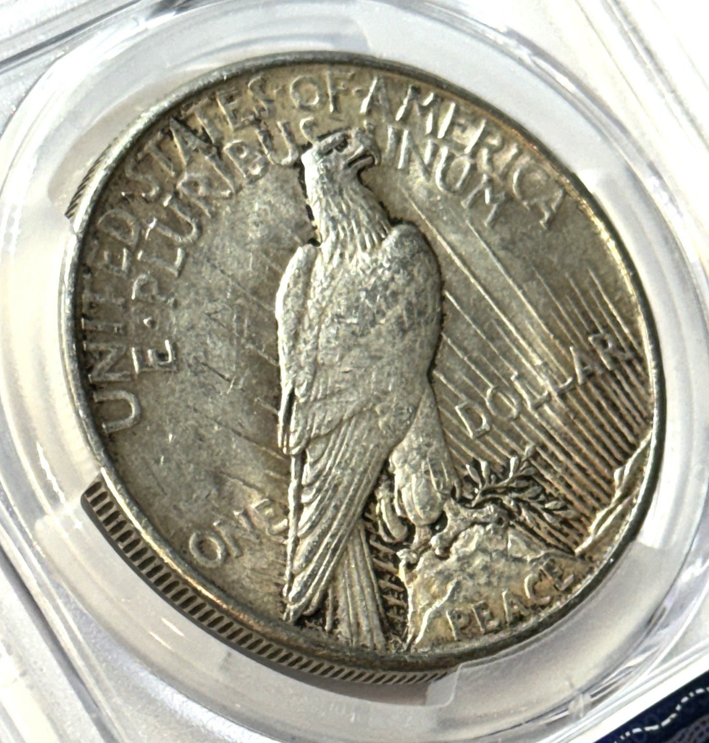 1921 High Relief Peace Dollar - PCGS AU50 Gold Shield - Key Date Peace Dollar!