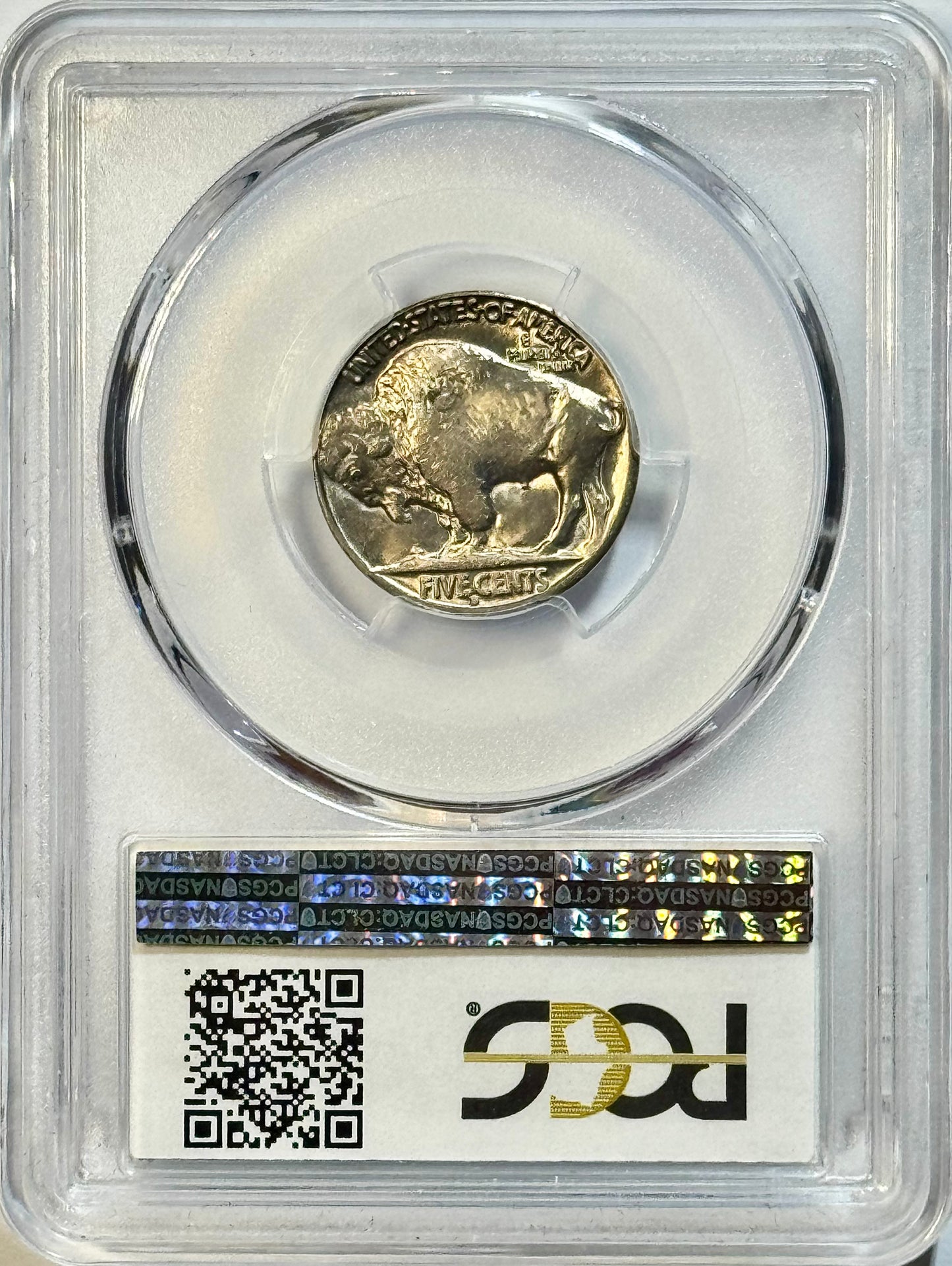 1934-D Buffalo Nickel - PCGS MS64 CAC - Gold Shield Trueview 5C PQ Gem BU