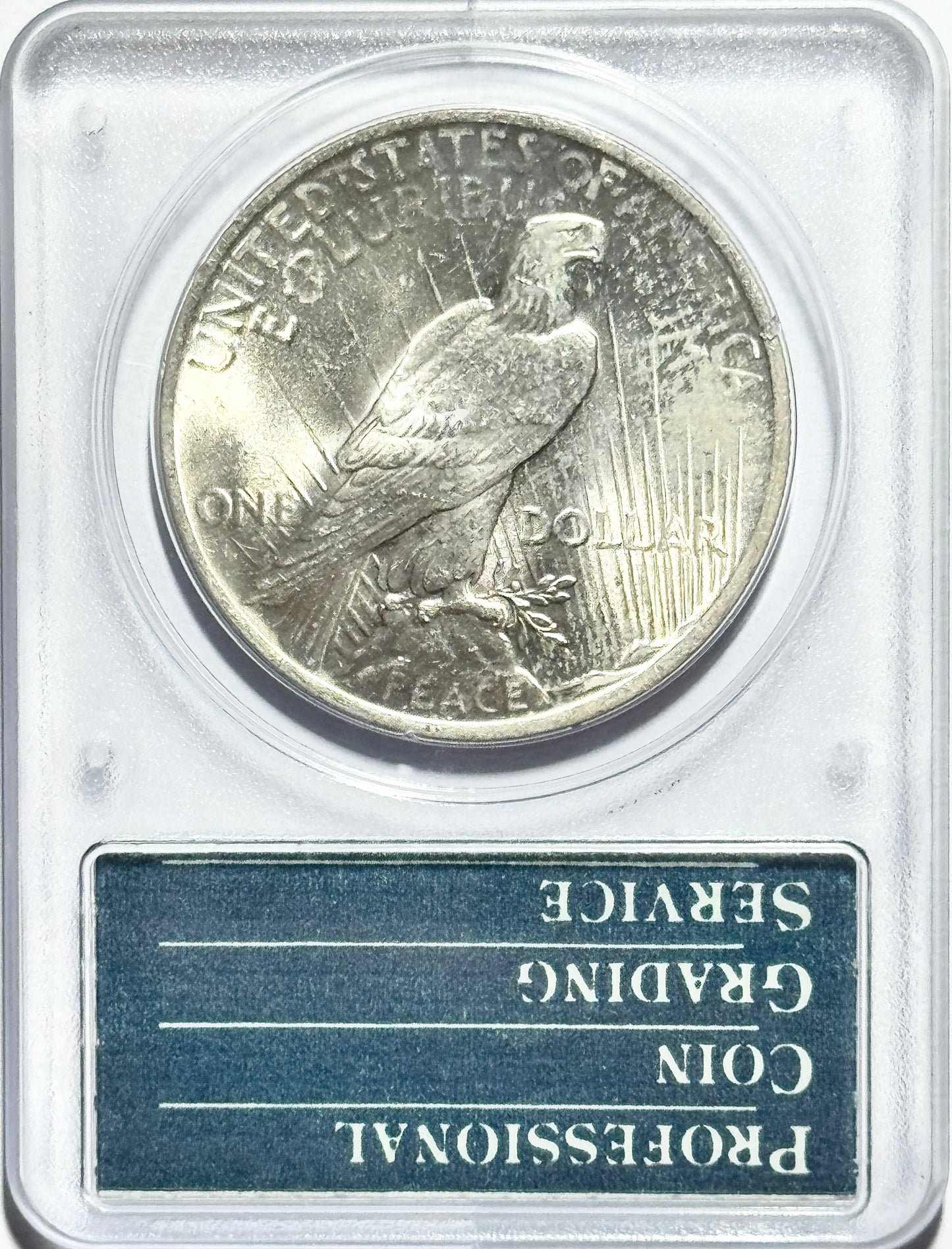 1923 Peace Silver Dollar - PCGS MS64 - Rattler 90% Silver Classic Milk Spots