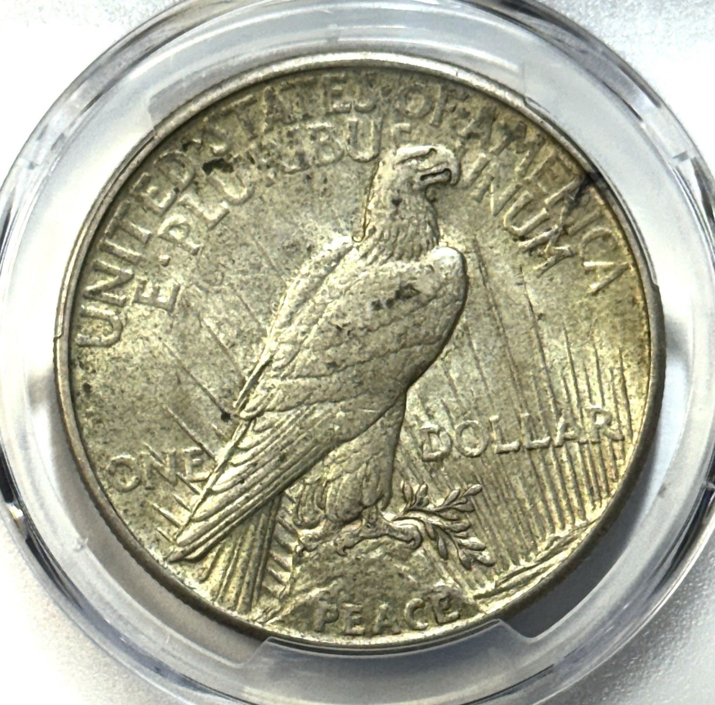1921 High Relief Peace Dollar - PCGS AU55 CAC - Key Date Collector Coin