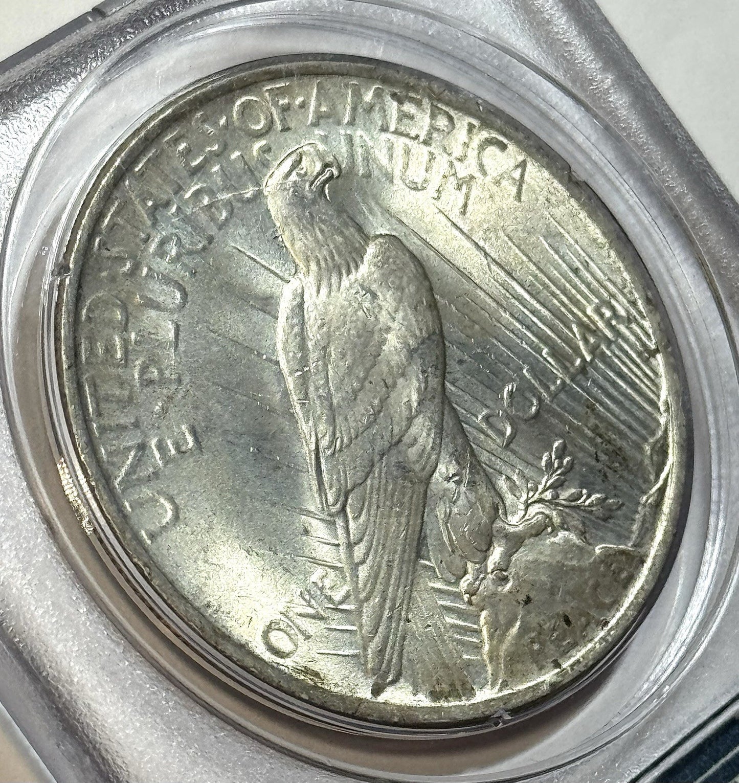 1923 Peace Dollar - PCGS MS64 - Old Green Holder OGH Original Luster $1