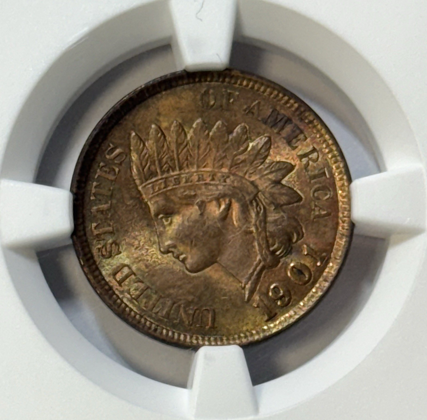 1901 Indian Head Cent – NGC MS63 RB – Flashy Original Color