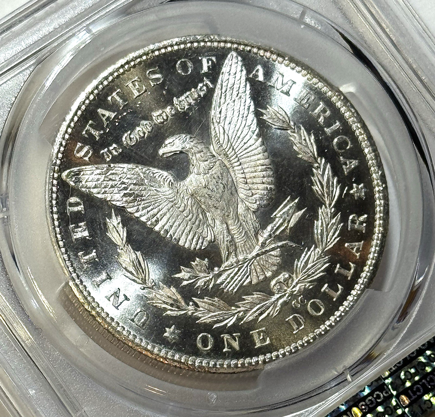 1883-CC Morgan Silver Dollar PCGS MS65+ ⭐ Blazing Cartwheel Luster | Carson City