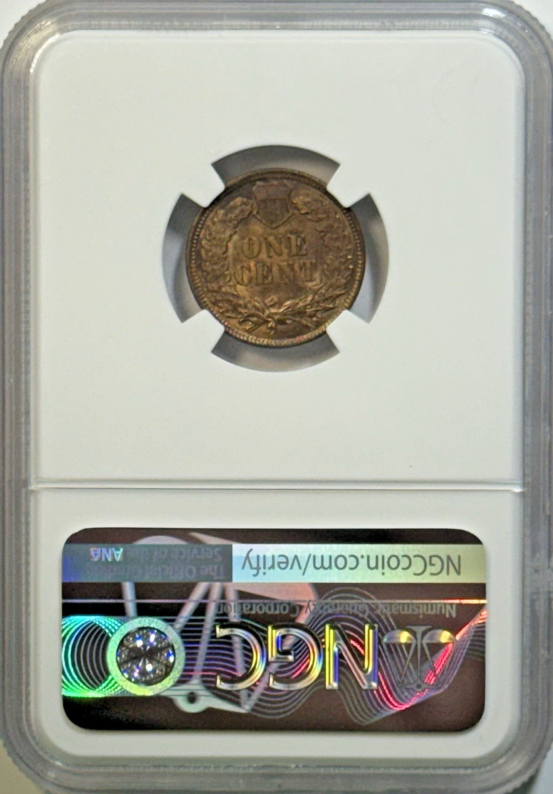 1901 Indian Head Cent – NGC MS63 RB – Flashy Original Color