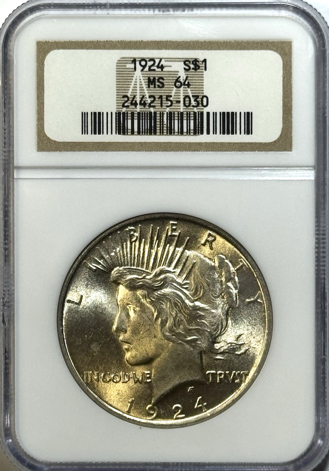 1924 Peace Dollar NGC MS64 — LIGHT GOLDEN TONING • CLEAN GEM LOOK