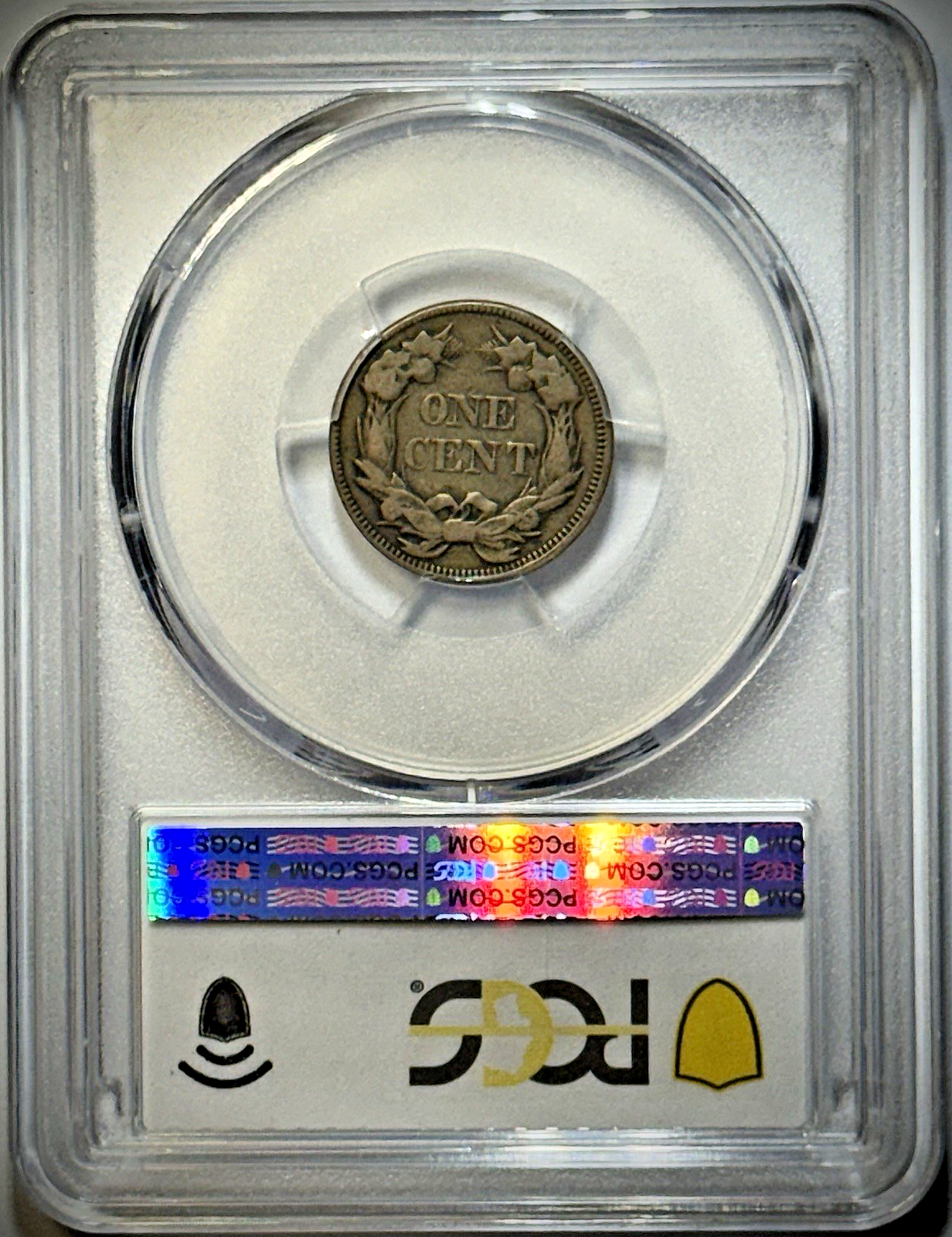 1857 Flying Eagle Cent- FS-402 / S-9 (die clash w/Liberty Seated 50c)- PCGS VF20