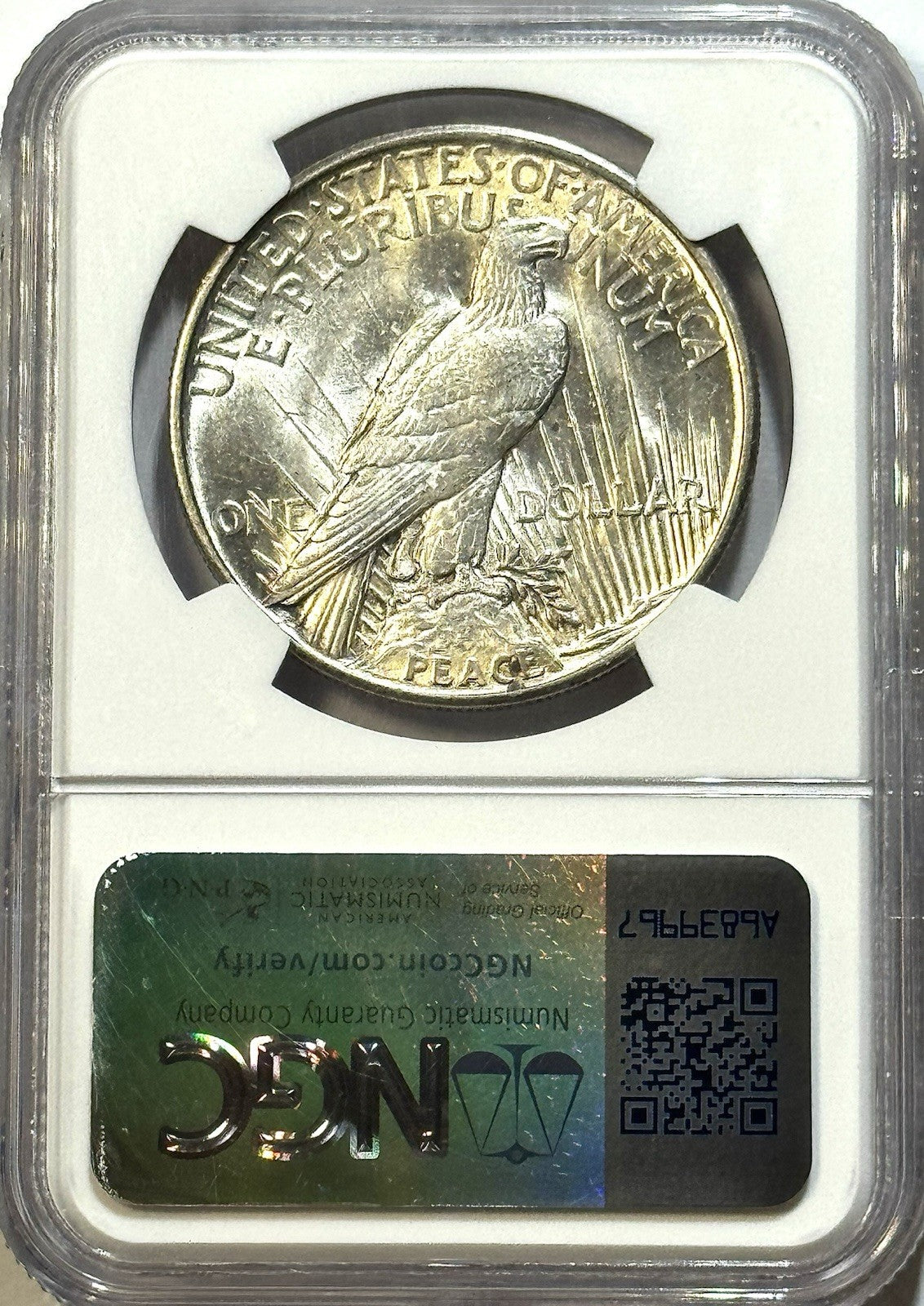 1921 High Relief Peace Dollar - NGC MS62 - Key Date - Original Better Eye Appeal