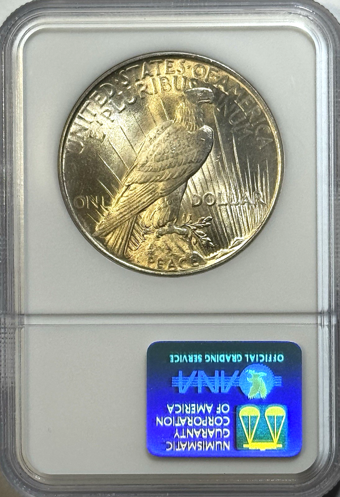 1924 Peace Dollar NGC MS64 — LIGHT GOLDEN TONING • CLEAN GEM LOOK
