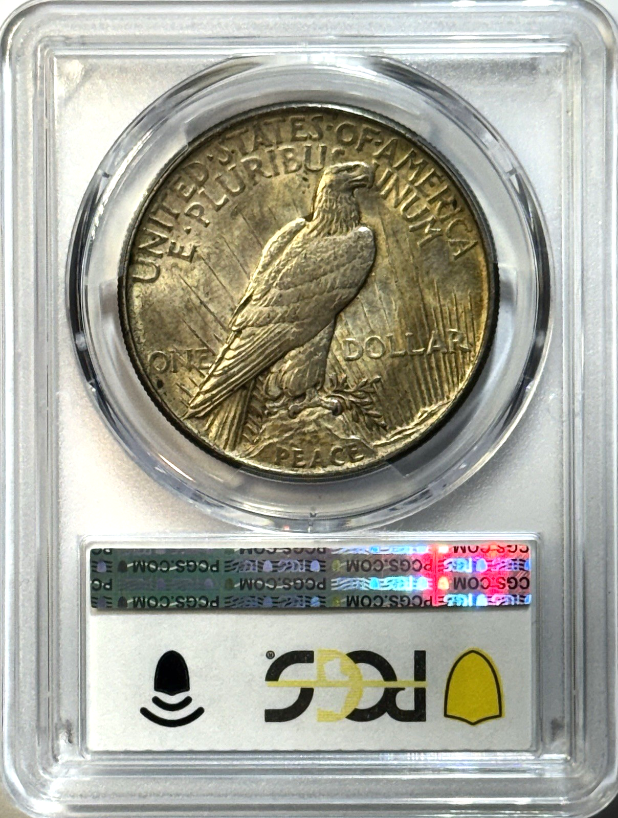 1921 Peace Dollar PCGS MS62 High Relief — Key First Year Issue - Golden Tone